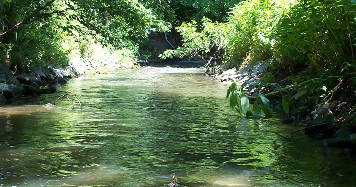 Vorfluter Abwasserverband Modau